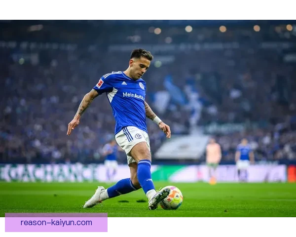 沙尔克关键球员